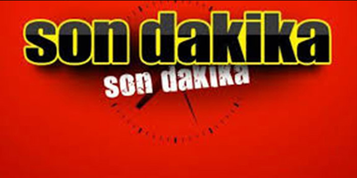 ALMANYA  CUMHURBAŞKANI  DEĞİŞTİ