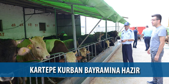 Kartepe Kurban Bayramına hazır