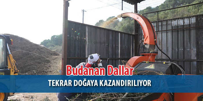 Görüntü kirliliğine sebebiyet veren dallar, doğaya tekrar kazandırılıyor