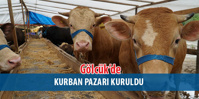Gölcük Kurban Pazarı Selimiye Eski Taş Ocakları Mevkiinde Kuruldu
