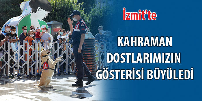 İzmit Belediyesi Belsa Plaza önünde “Kahraman Dostlarımız” gösterisi izleyenleri büyüledi 