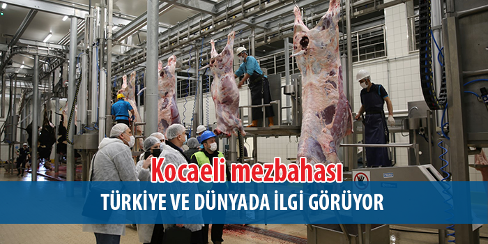 Ukrayna eski Sağlık Bakanından Büyükşehir Mezbahasına ziyaret
