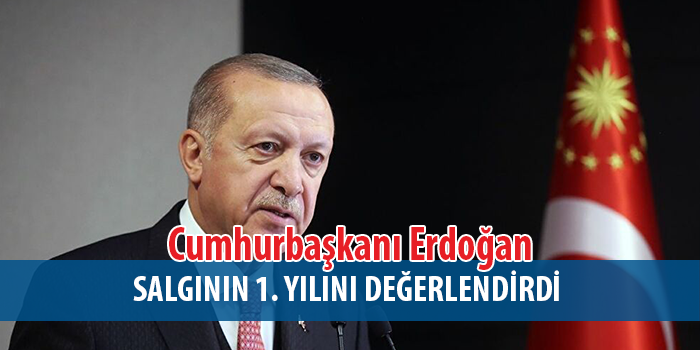 Salgının 1. yılında Önemli Değerlendirmeler