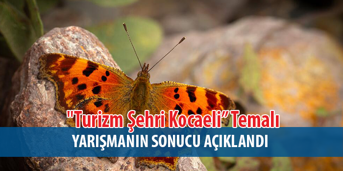 Kocaeli’nin en iyi kareleri belli oldu