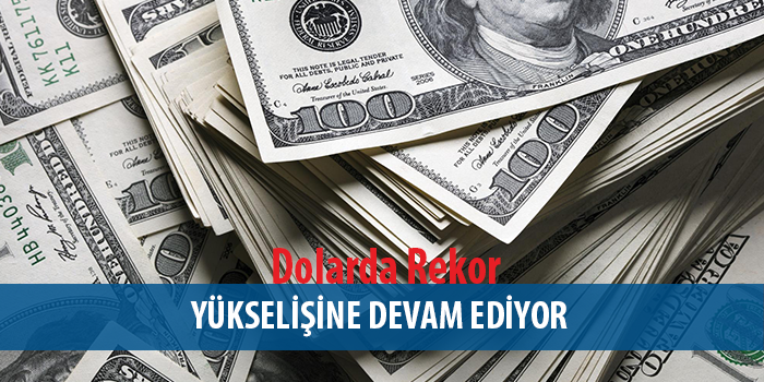 Dolar da Yeni Rekor ; 31 Lirayı Geçti