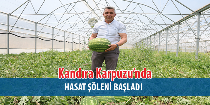 Kandıra Karpuzu’nda Hasat Şöleni Başladı!