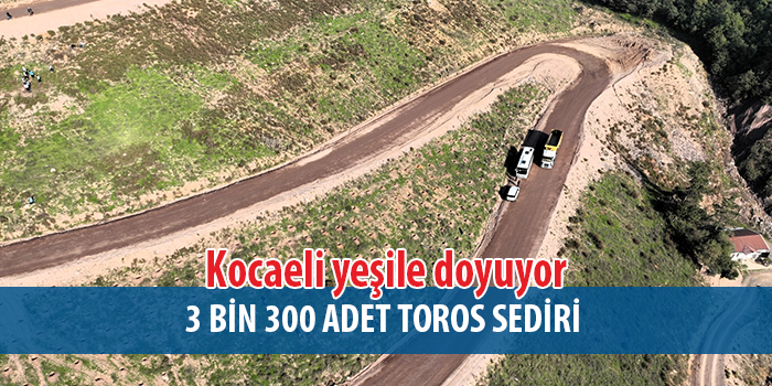 Büyükşehir’in dokunuşlarıyla Kocaeli yeşile doyuyor 