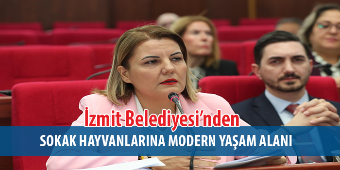 Fatma Başkan: “İzmit’te Sokak Hayvanlarına Modern Yaşam Alanı Geliyor”