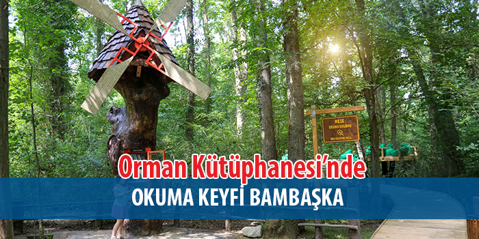 Eşsiz Doğada Kitaplara Yolculuk Yeni Ufuklar Açıyor