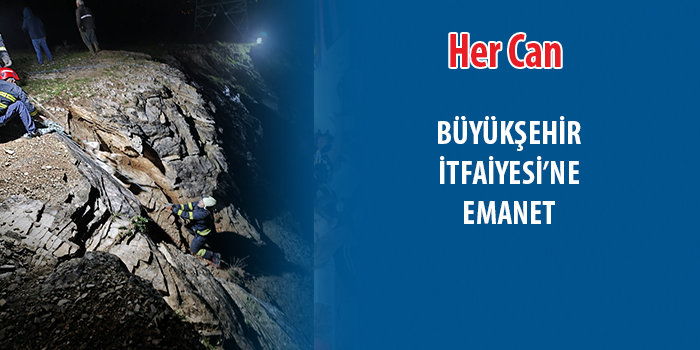 Keçi ve oğlaklar için zorlu kurtarma operasyonu takdir topladı.