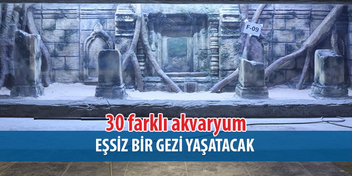 Büyükşehir’in “Akvaryum Projesi’nde”  son hazırlıklar yapılıyor