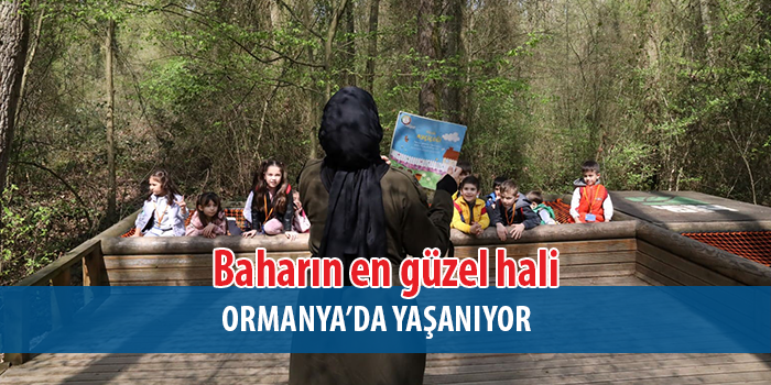  Ormanya, baharın gelişiyle birlikte yeniden canlandı. 