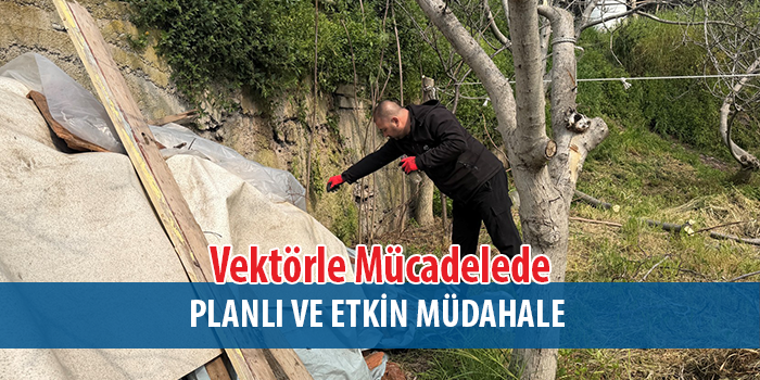 Büyükşehir, Vektörle Mücadelede Yaz Mesaisine Başladı