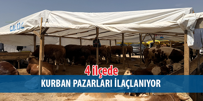 Büyükşehir, kurban pazarlarında yoğun mesai yürütüyor