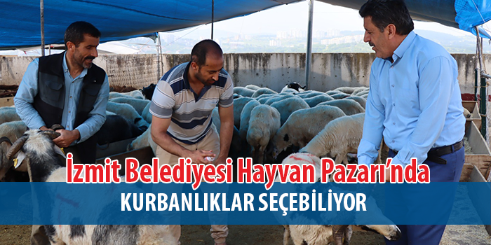 İzmit Belediyesi Modern Hayvan Pazarı’nda kurbanlık satışları devam ediyor