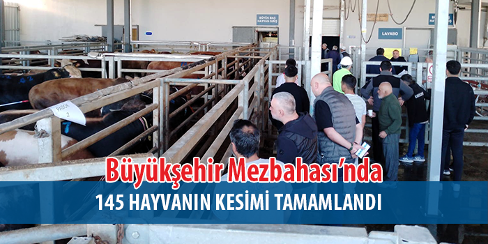 Büyükşehir Mezbahası’nda kurban kesim işlemi tamam 