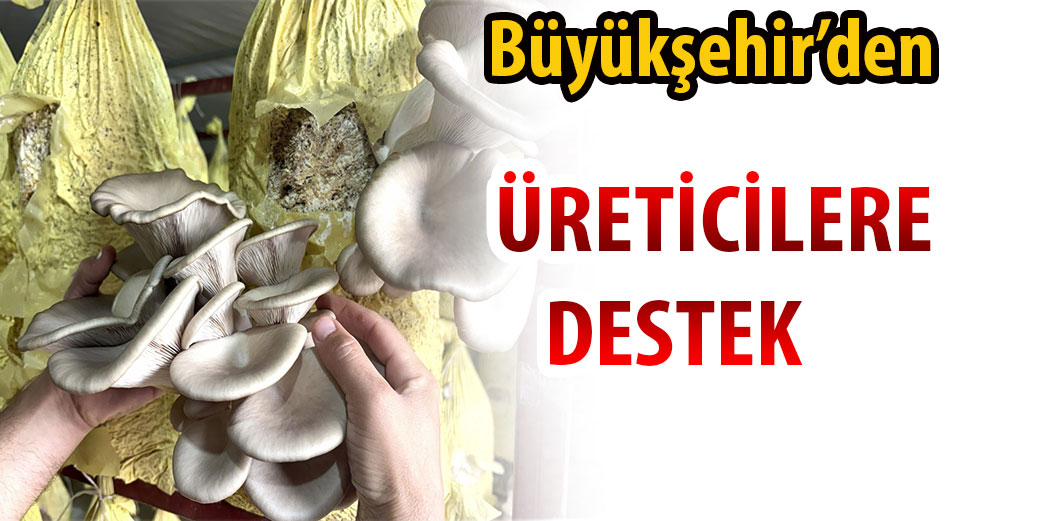 Kırsal kalkınmaya mantar üretim çadırı desteği